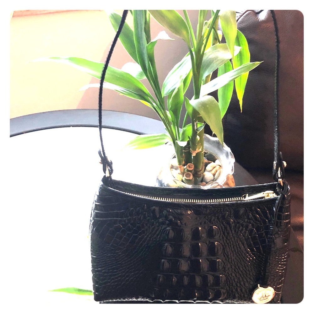Anytime Brahmin bag.
